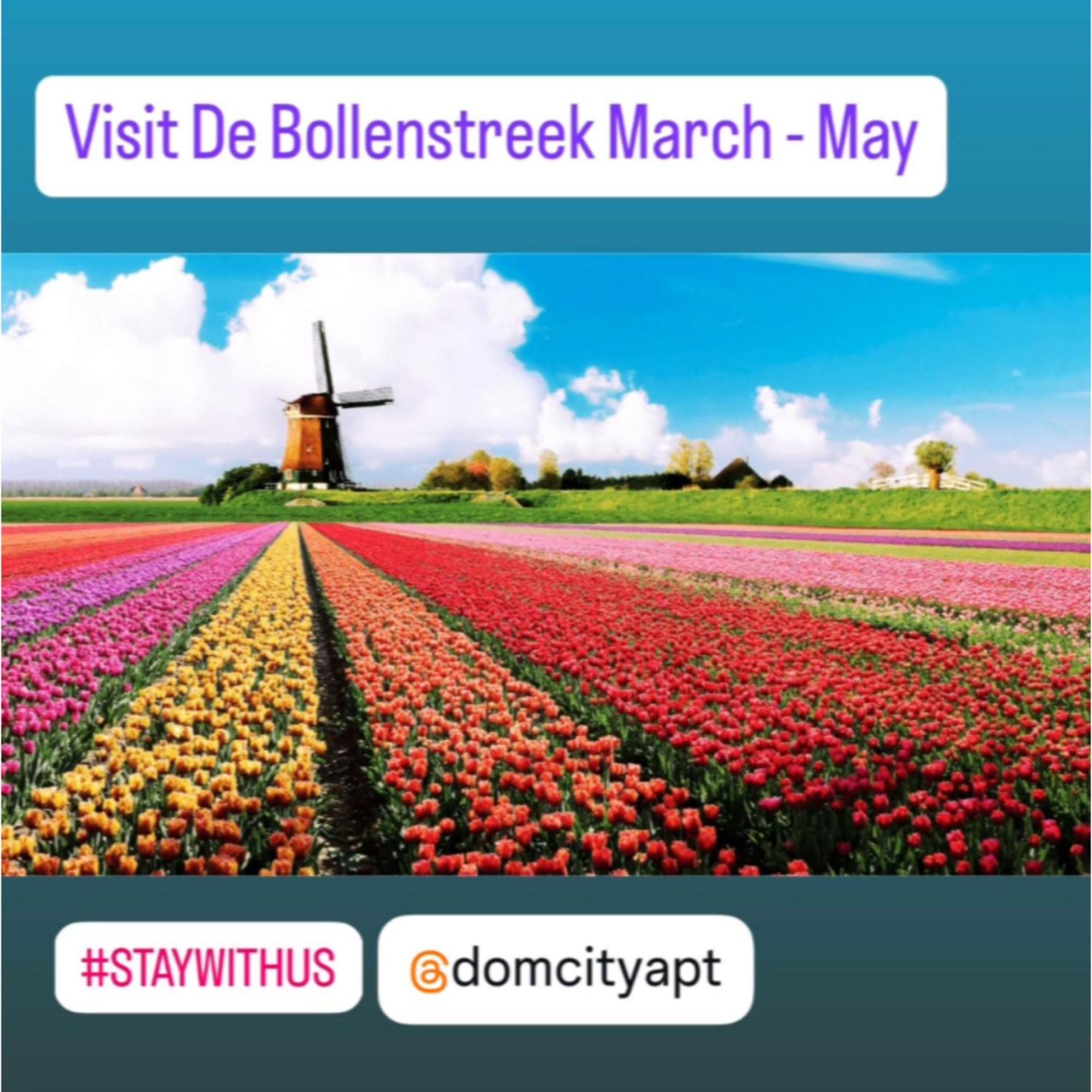 Domcity Apt Near Amsterdam أوترخت المظهر الخارجي الصورة